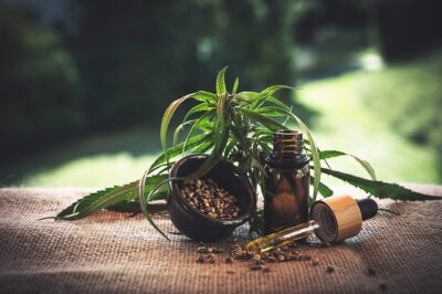 CBD Wellness