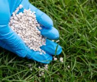 Lawn Fertilization