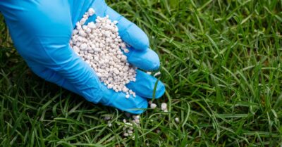 Lawn Fertilization