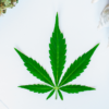 weed