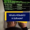 What Is 493xds5.0 in Software?