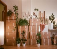 Back Room
