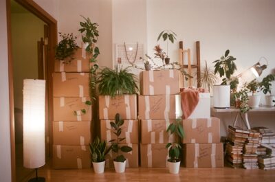 Back Room