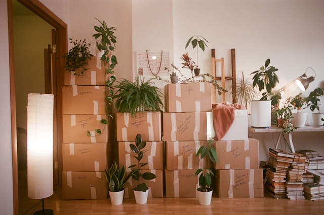 Back Room