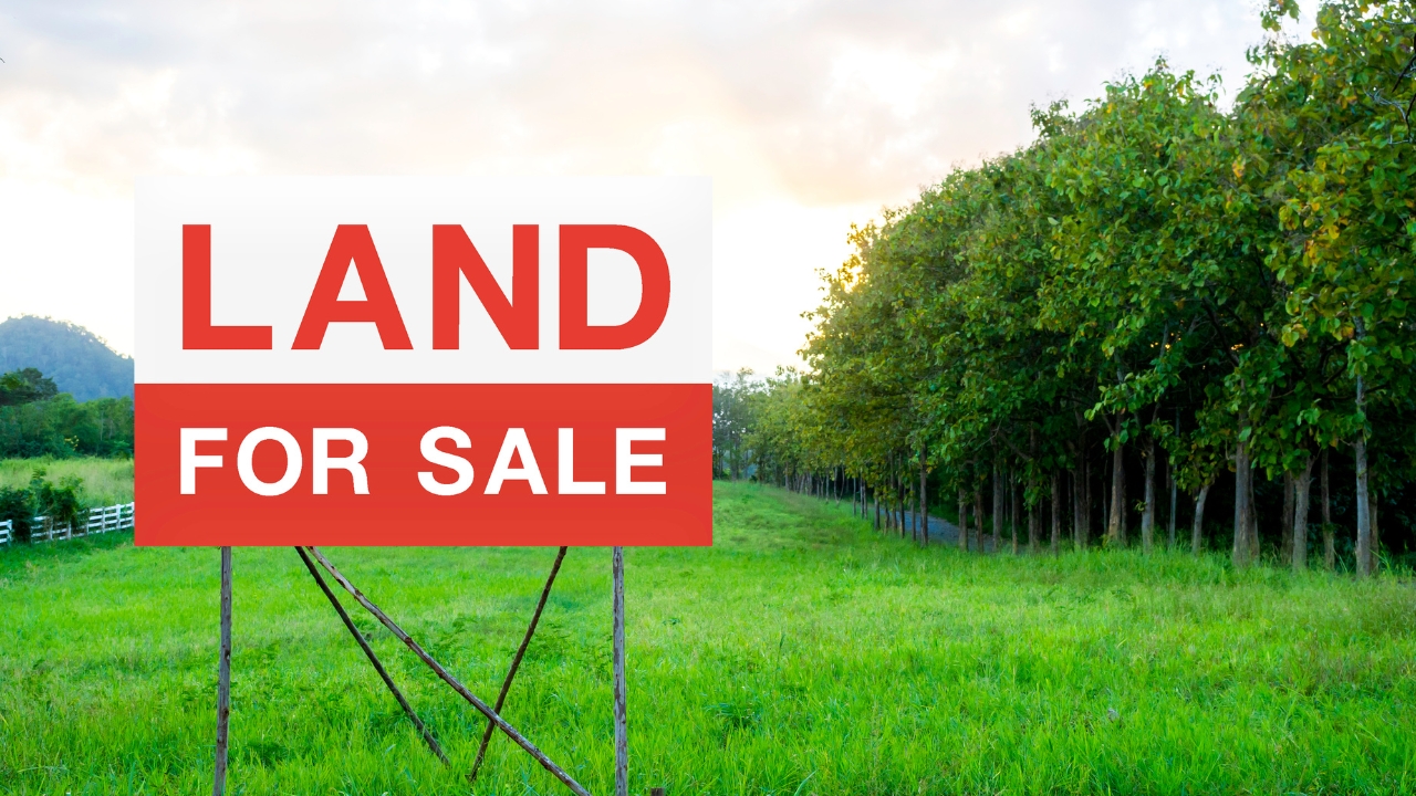 Land for sale