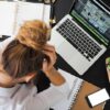 Woman Sitting in Front of Macbook
