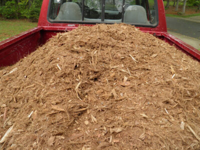 Mulch for Gardening in small truck