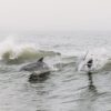 Dolphins and Waves