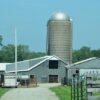 Farm buildings with a silo stand under a blue sky