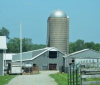 Farm buildings with a silo stand under a blue sky