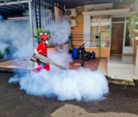 Pest Control Service in Eastvale