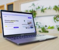 Professional Website Development