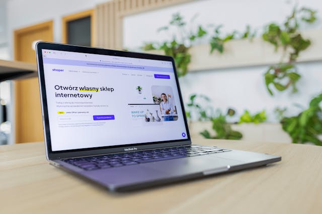 Professional Website Development