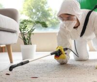 Pest Control