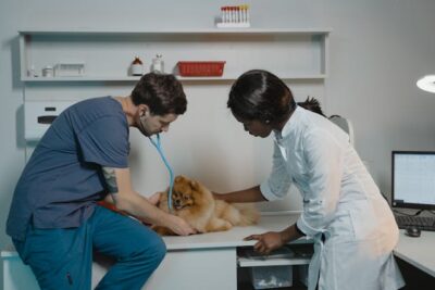Wealth-Building Strategies for Veterinary Professionals