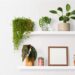 Living Wall