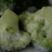 The broccoli is frozen