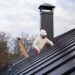 Roof Access Hatches