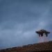 White and Brown Concrete Chimney