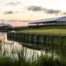 Golf Course at Dawn