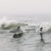 Dolphins and Waves